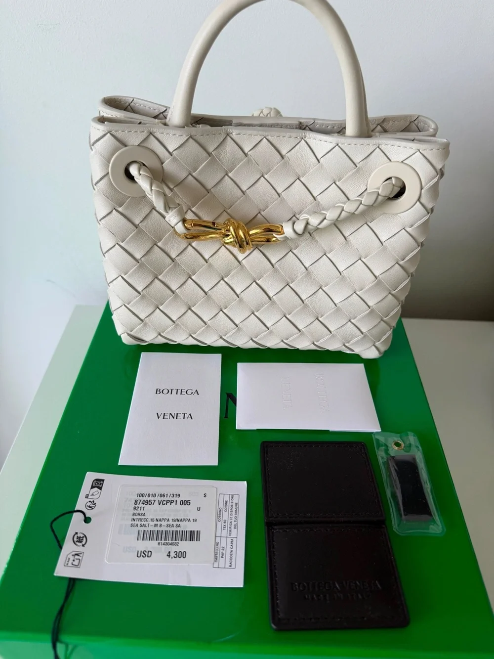 Bottega Veneta Mini Andiamo